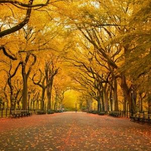 Meet your Posher, Frances